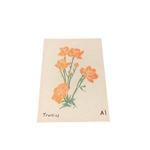 Inciardi Mini Prints Trollius Print